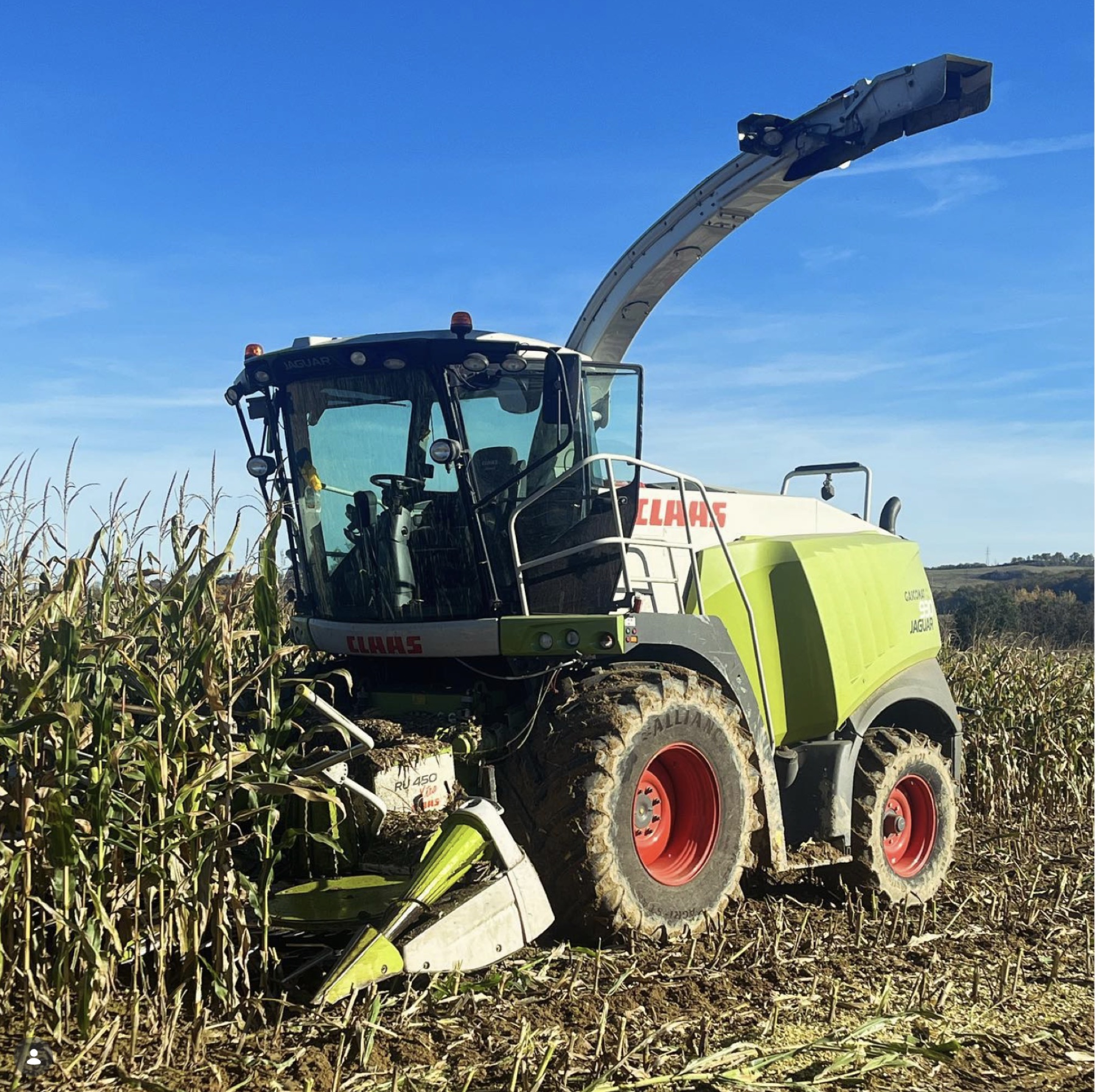 Ensileuse en plein chantier agricole