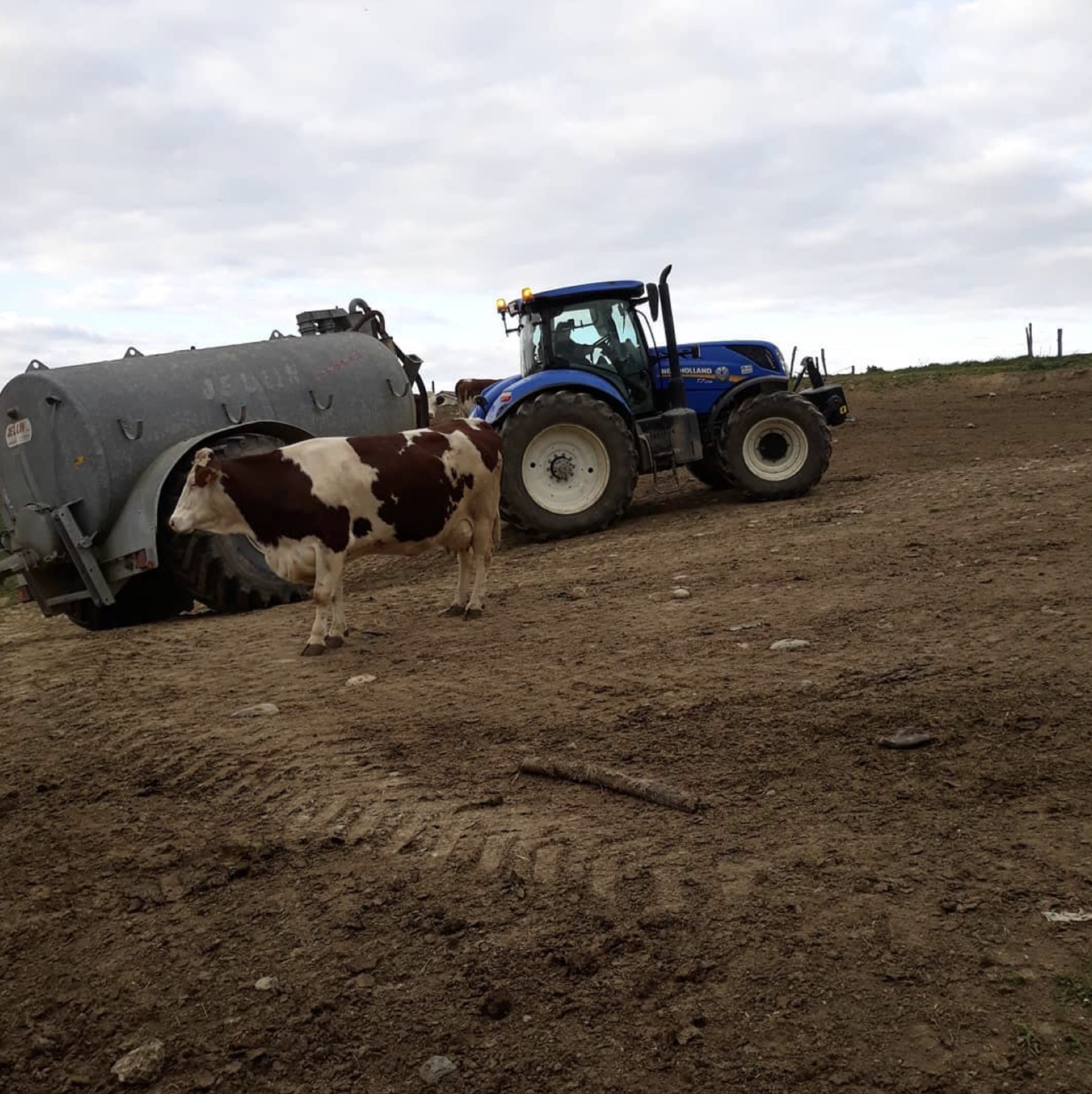 Tracteur et tonne agricole auprès d’un élevage bovin